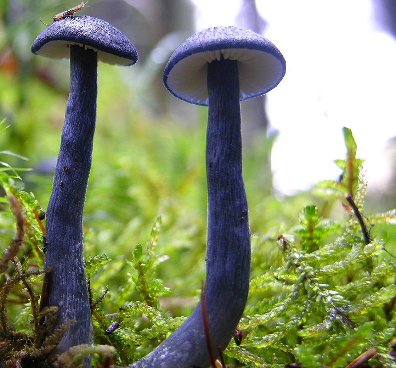 Svuotando l''archivio 2009....3� e ultima parte.